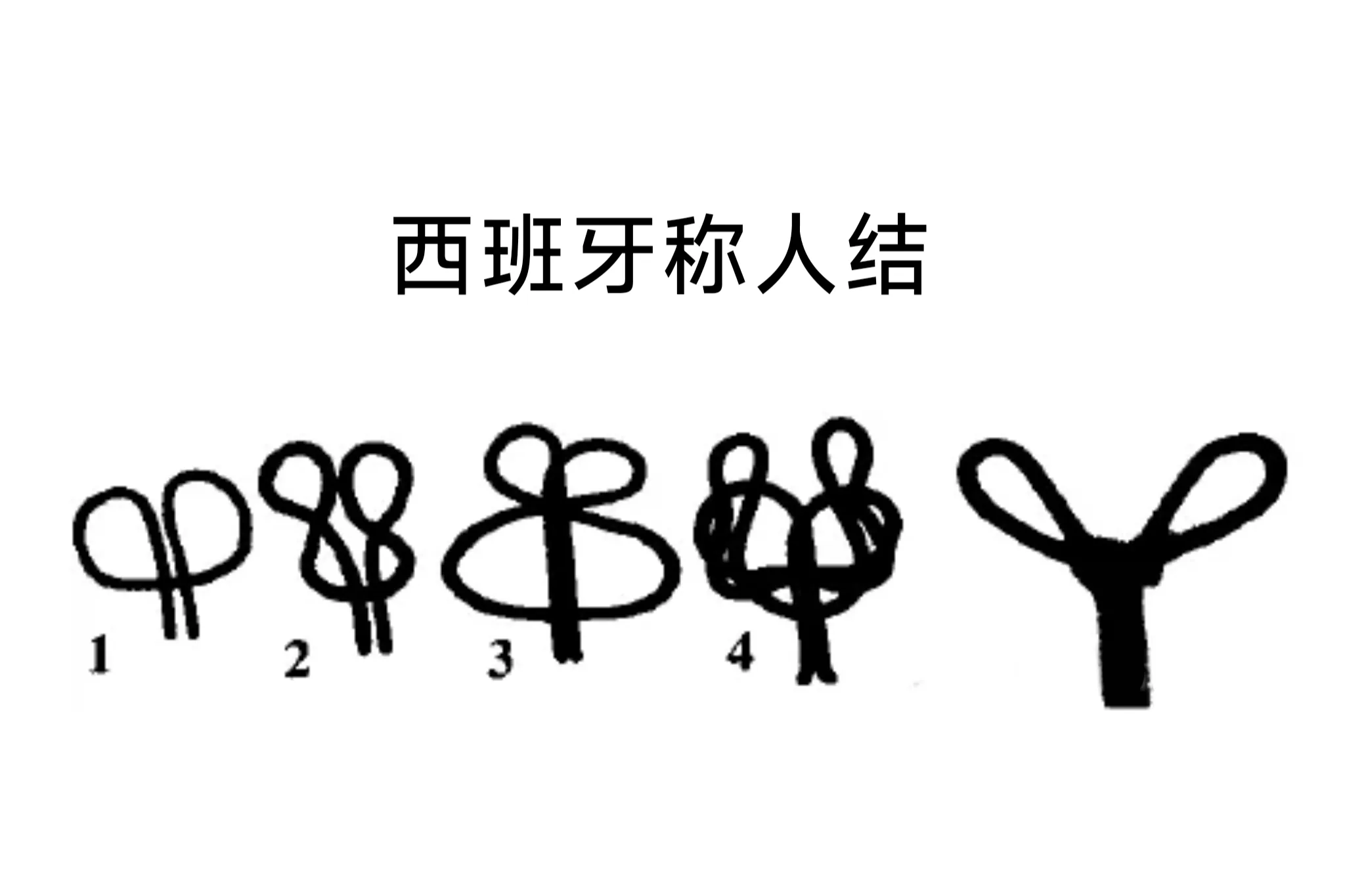 西班牙称人结资料图